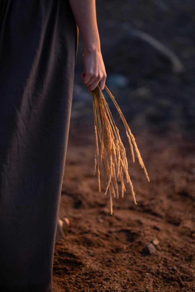 pexels cottonbro 10570336